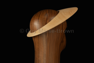 FB132 3D Saucer Halo Percher - Image 4